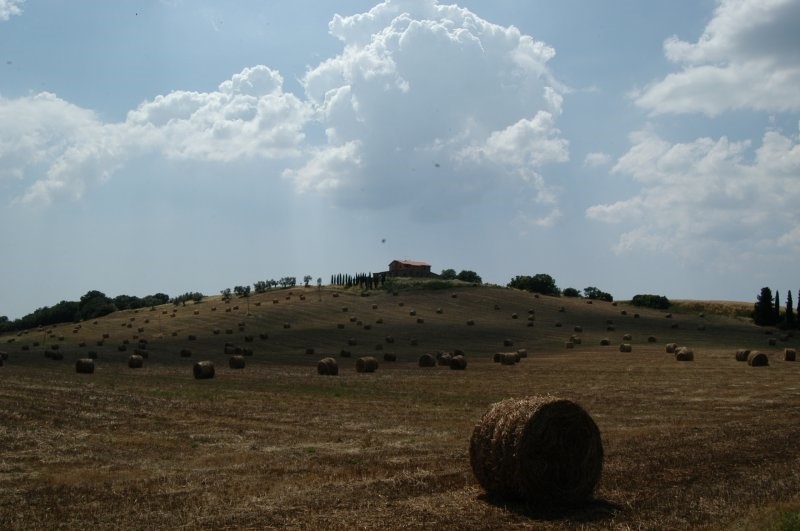 BIBBONA CAMPAGNA